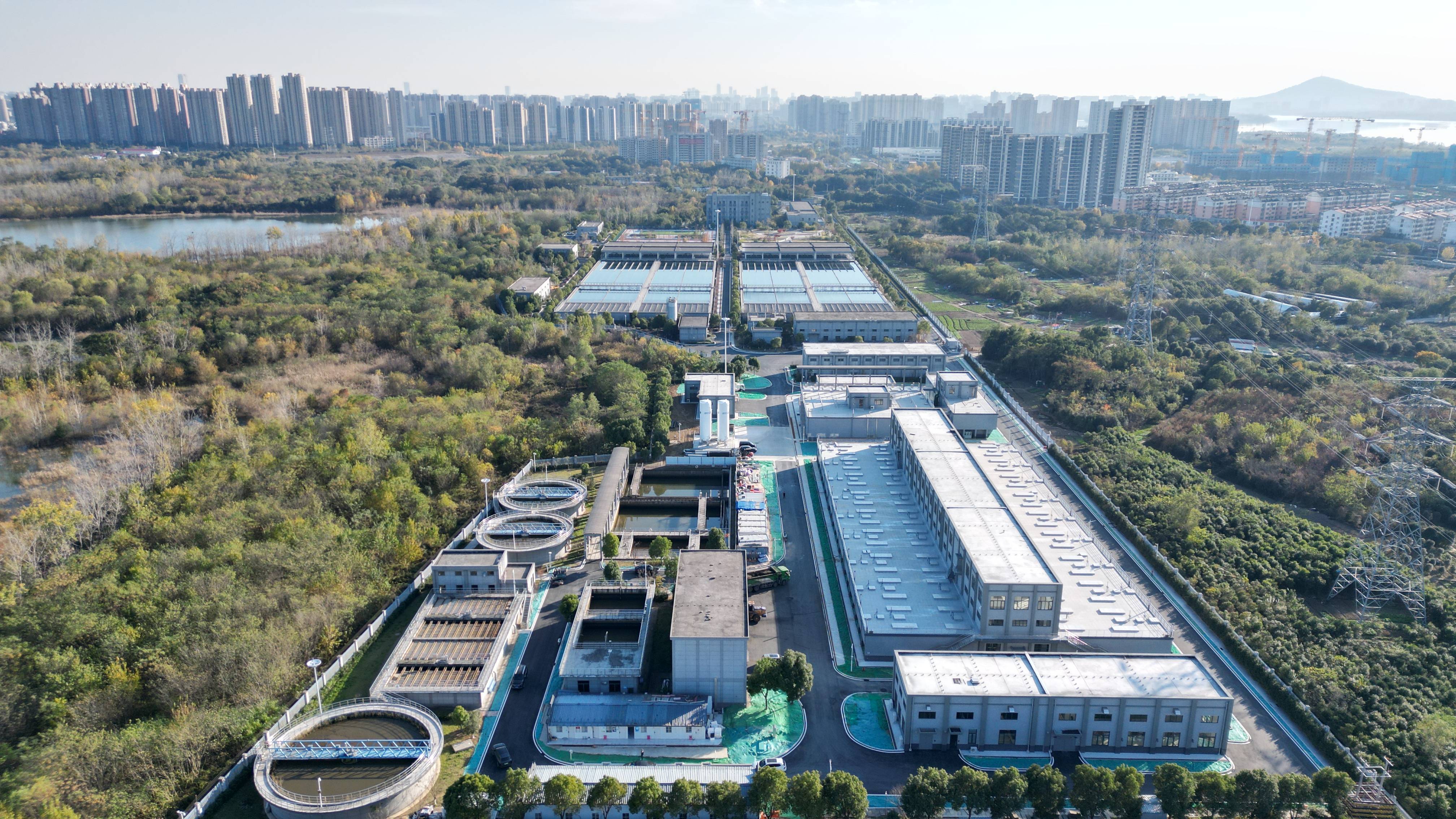 温州市合肥专业企业价值增长(合肥市重点企业产业目录)