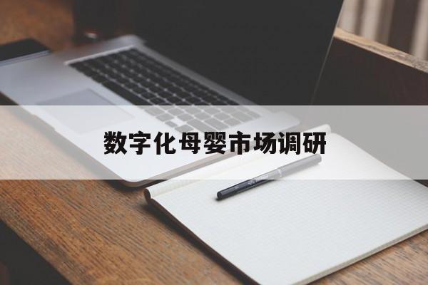温州市数字化母婴市场调研(数字化母婴市场调研报告)